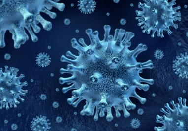 Coronavirus image