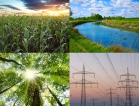 Image collage of corn, water canal, trees, power lines