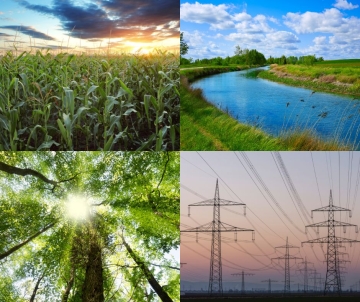 Image collage of corn, water canal, trees, power lines